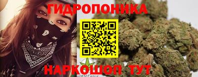 PSILOCYBIN Бугуруслан