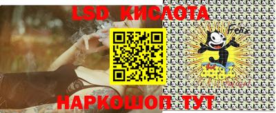 PSILOCYBIN Бугуруслан