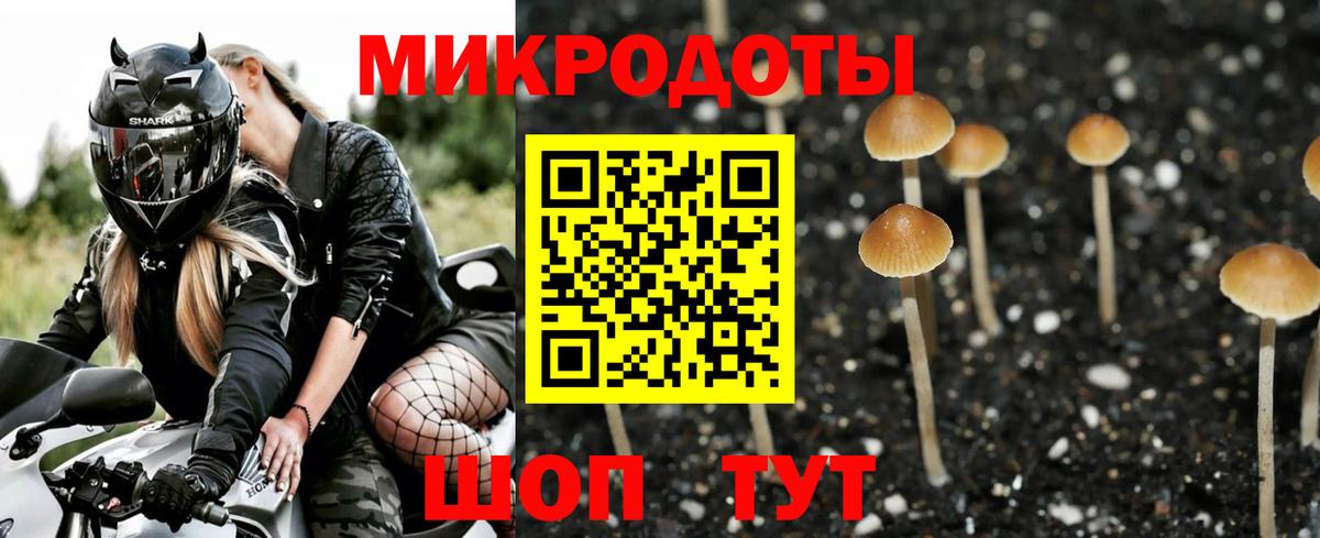 Галлюциногенные грибы Cubensis Павлово