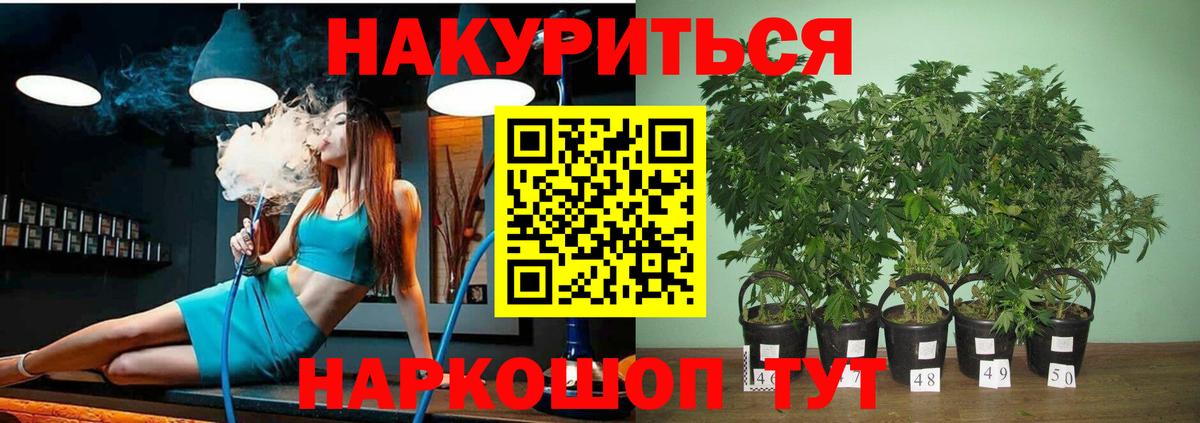 Бошки марихуана индика  Вход с VPN  Шишки марихуана гибрид  Шишки марихуана планчик  Павлово 